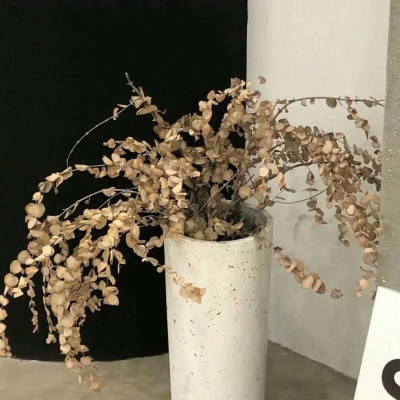 兽设配饰设计灵感兽圈社群